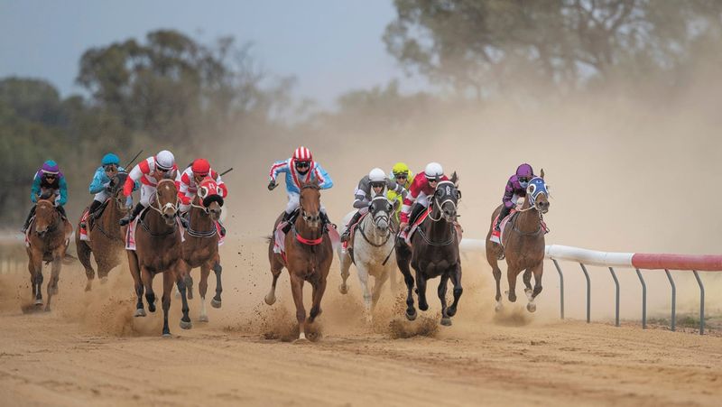 Weather Holds for Cool Moulamein Cup post image