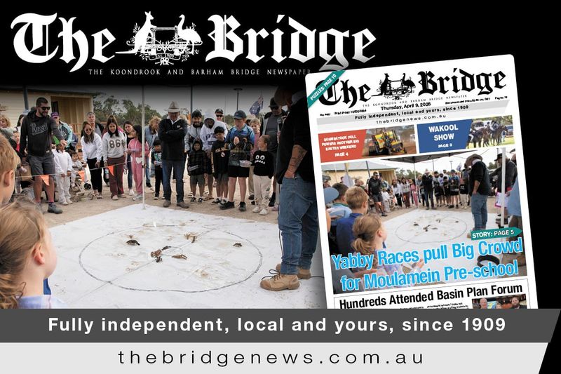 Thursday, April 9, 2026 post image