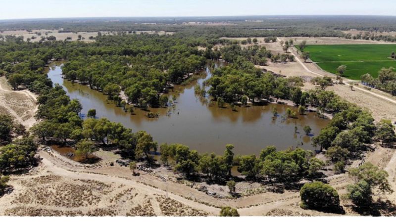 Western Murray Landholders invited to Explore Carbon and Biodiversity Opportunities post image