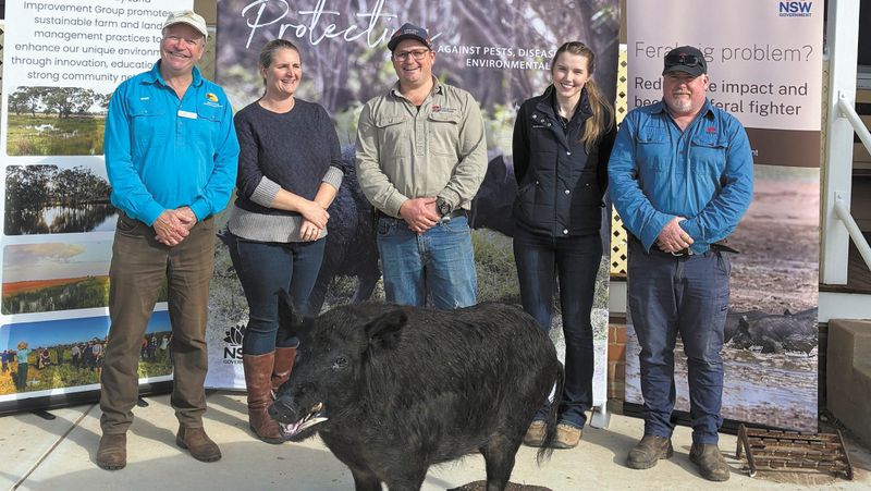 Feral Pig Management Workshop post image