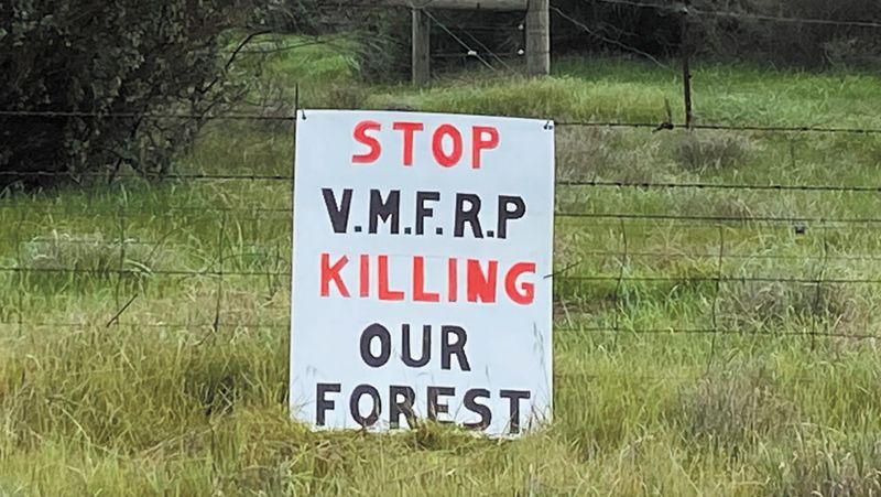 Public hearing begins into Murray floodplain projects post image