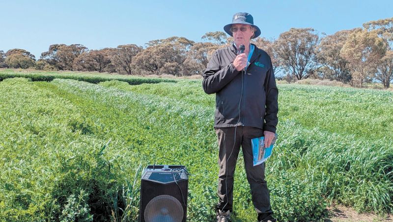 Irrigation research field day set for Kerang post image