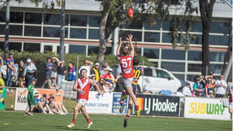 Swans lay foundations for bigger things post image