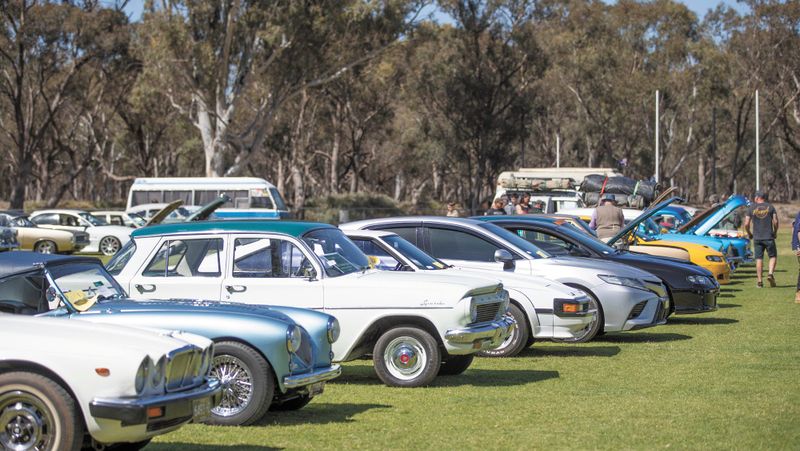 Moulamein Primed to Show and Shine post image