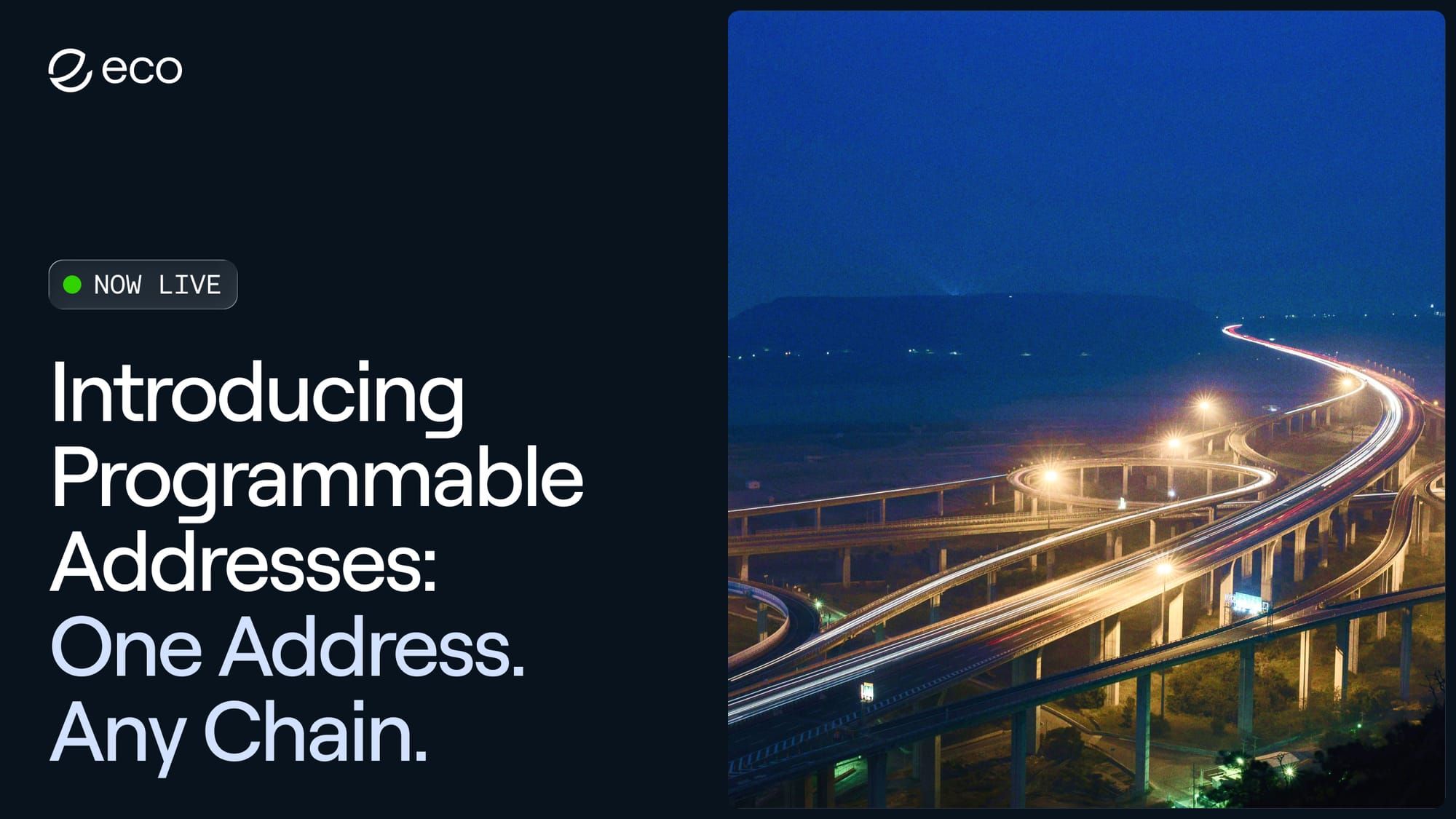 Introducing Programmable Addresses: One Address. Any Chain.