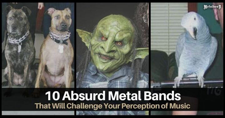 10 Absurd Metal Bands That Will Challenge Your Perception of Music