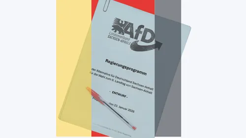 პარტიის პროგრამა: რას გეგმავს AfD?