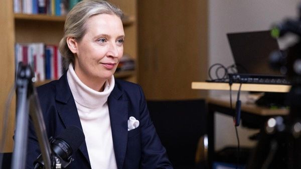 ალის ვაიდელის პარადოქსი