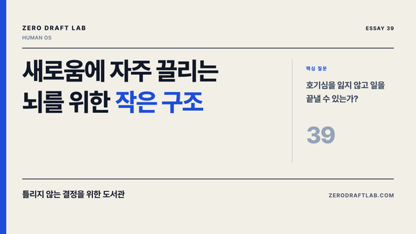 새로움에 자주 끌리는 뇌를 위한 작은 구조