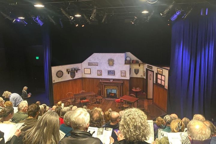 A stage is set to look like a pub, the curtains are open, and the backs of the audiences heads are visible.