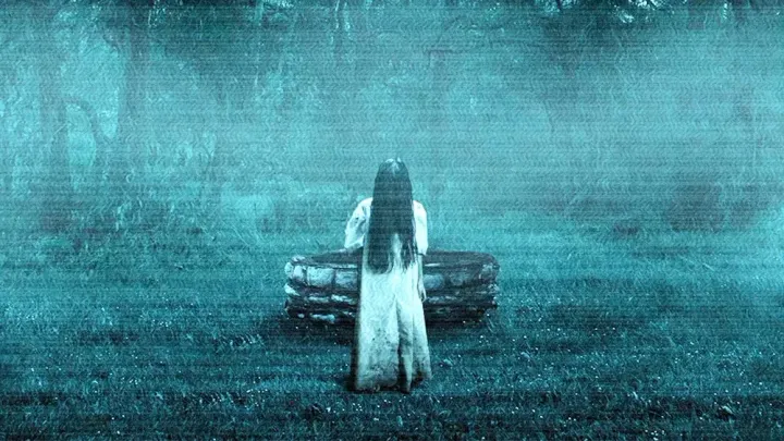 A still of Samara from The Ring coming out of the well with her head down.