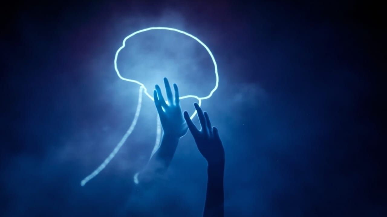 The Ghost in the Machine: How Your Body Moves Without You