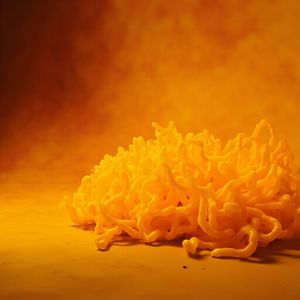The Brainless Genius: The Blob That Defies Evolution