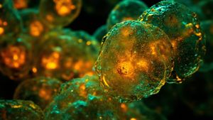 The Organism That Gave Us Air Is Still Outsmarting Science