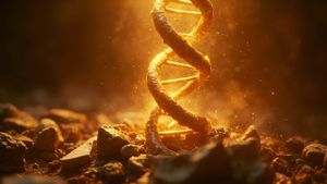 How 10,000 Ancient Bones Rewrote the Story of Human Evolution