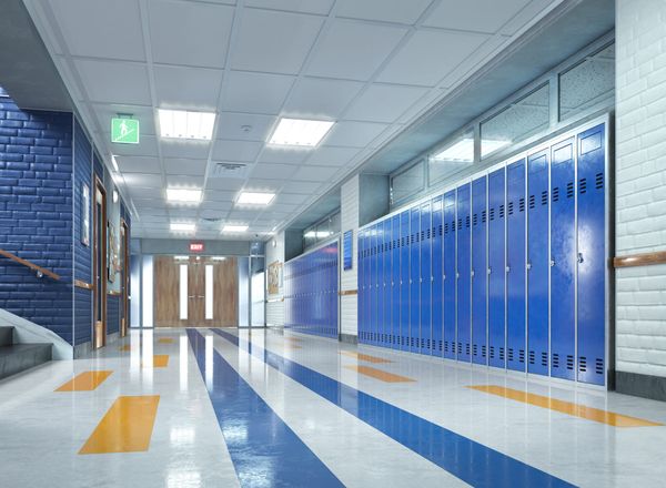 Insights for everyone: How brytinsight is expanding the access to key knowledge