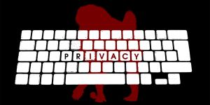 ICYMI After the Bell🔔: What is the connection between baboons and your right to privacy?