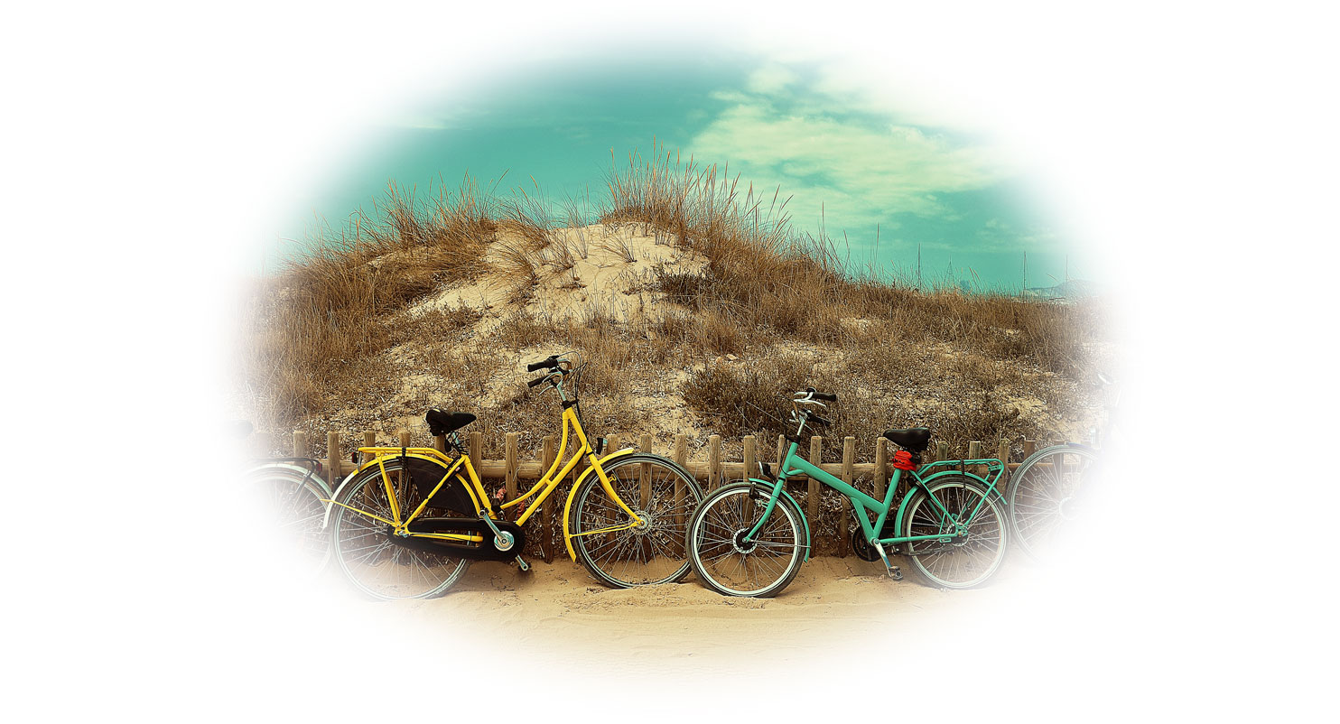 blog-elloha-google-activites