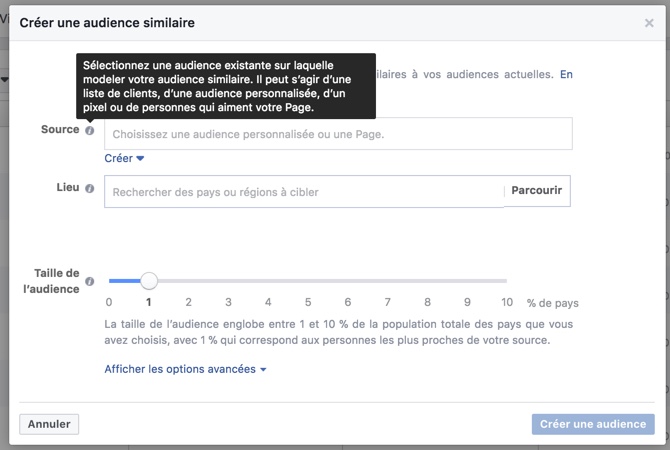 blog-elloha-audience-similaire-facebook