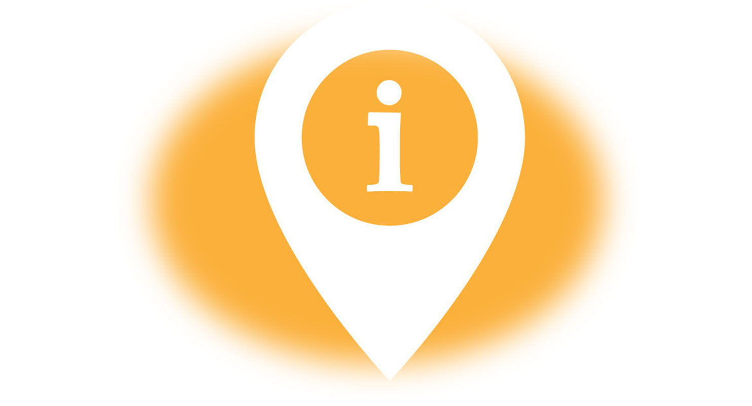 blog-elloha-touring-bird-google