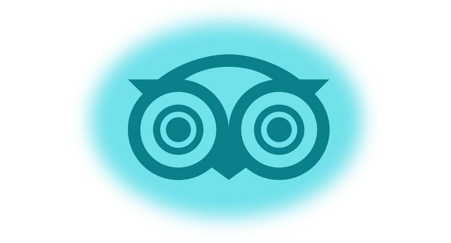 blog-elloha-tripadvisor-resultats-2018