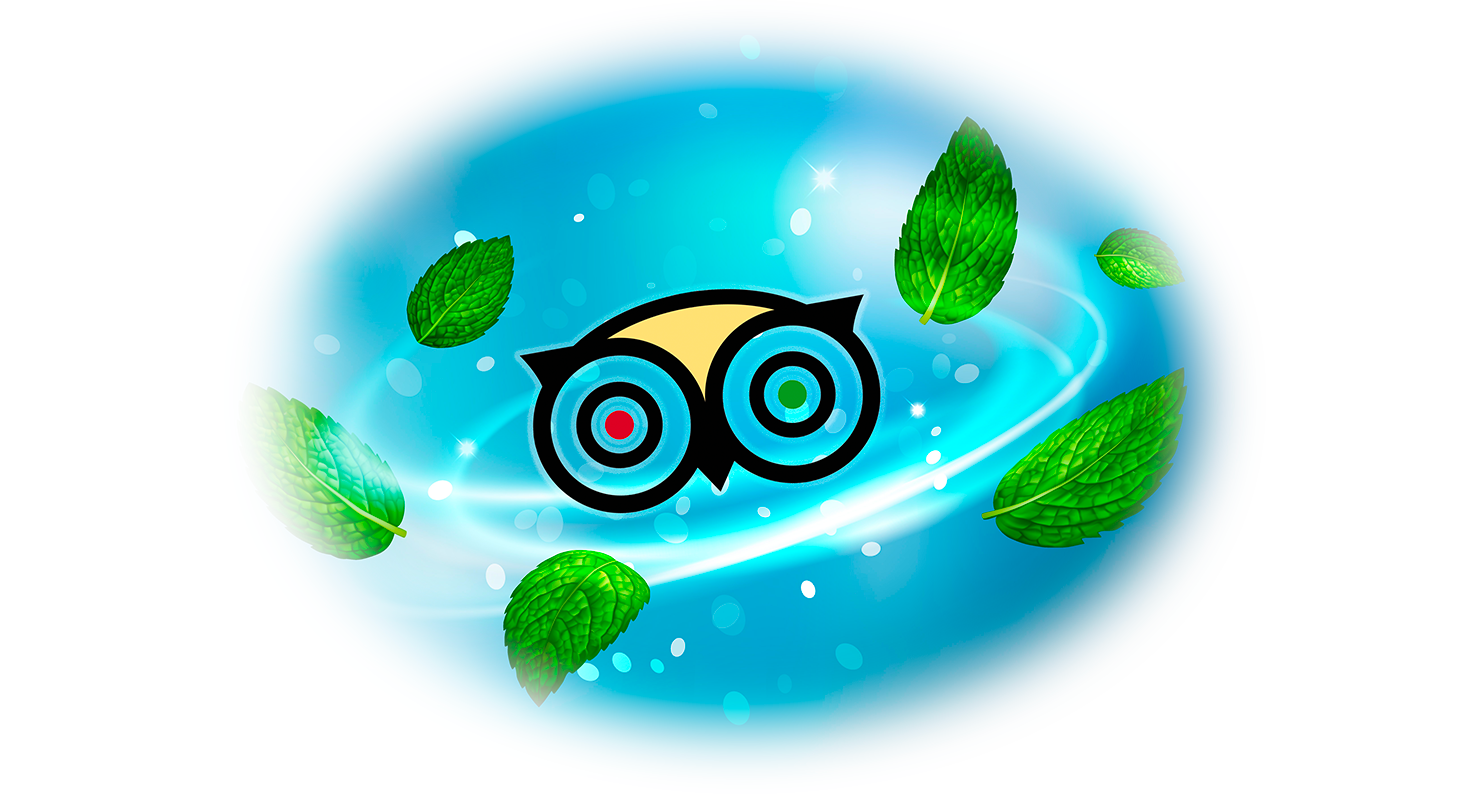 blog-elloha-les-lecteurs-priviligient-les-derniers-avis-sur-tripadvisor
