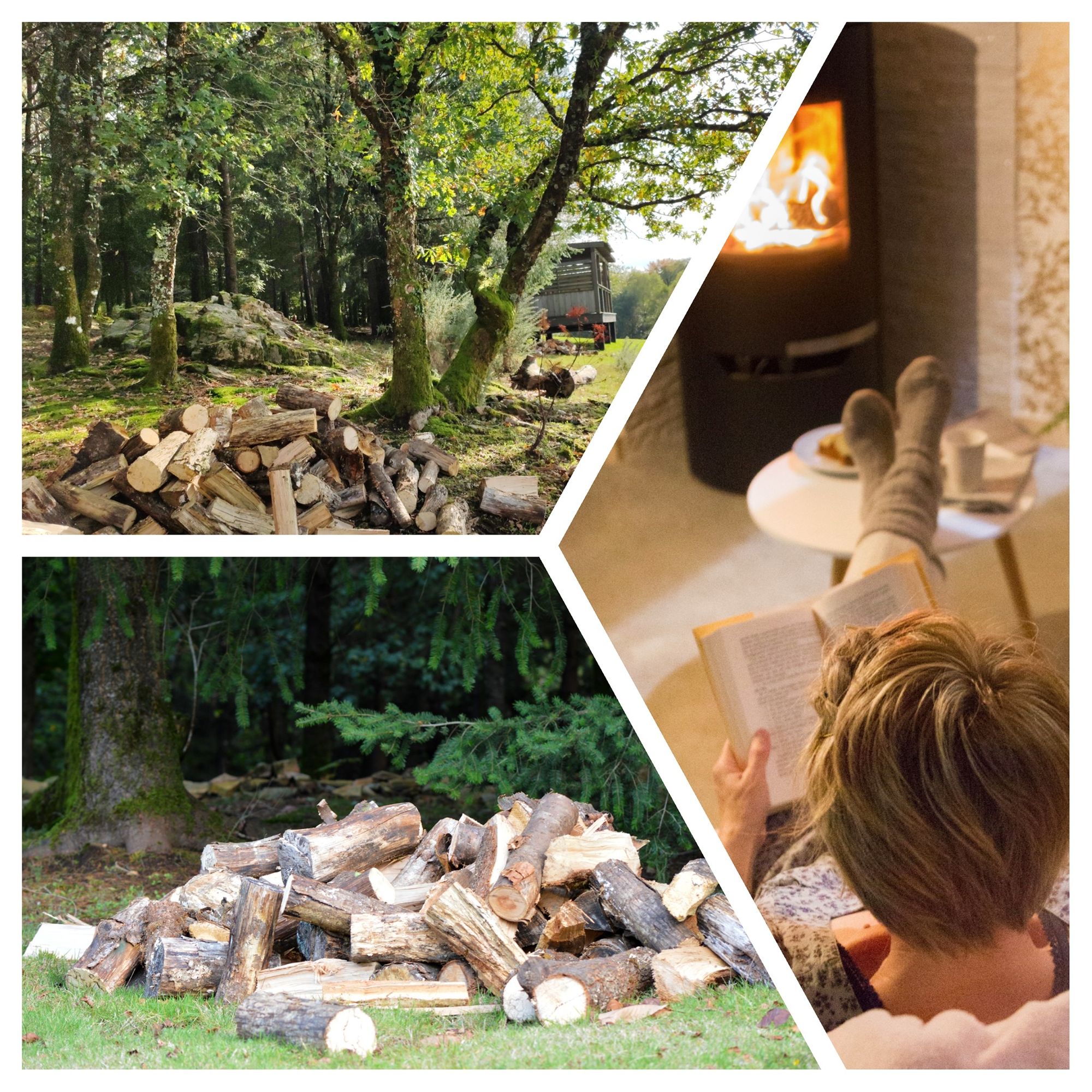 121177900_2800212120256233_6625981556630948539_o