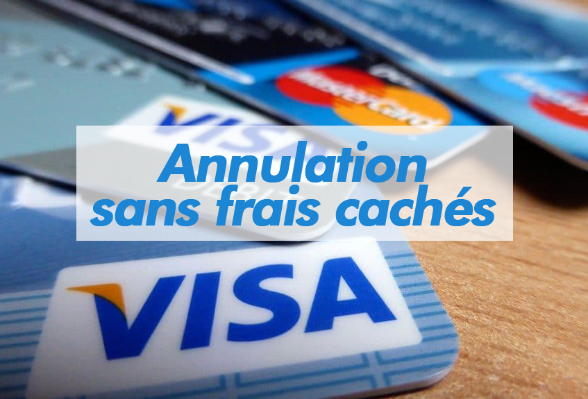 visa-mastercareeed-1024x575