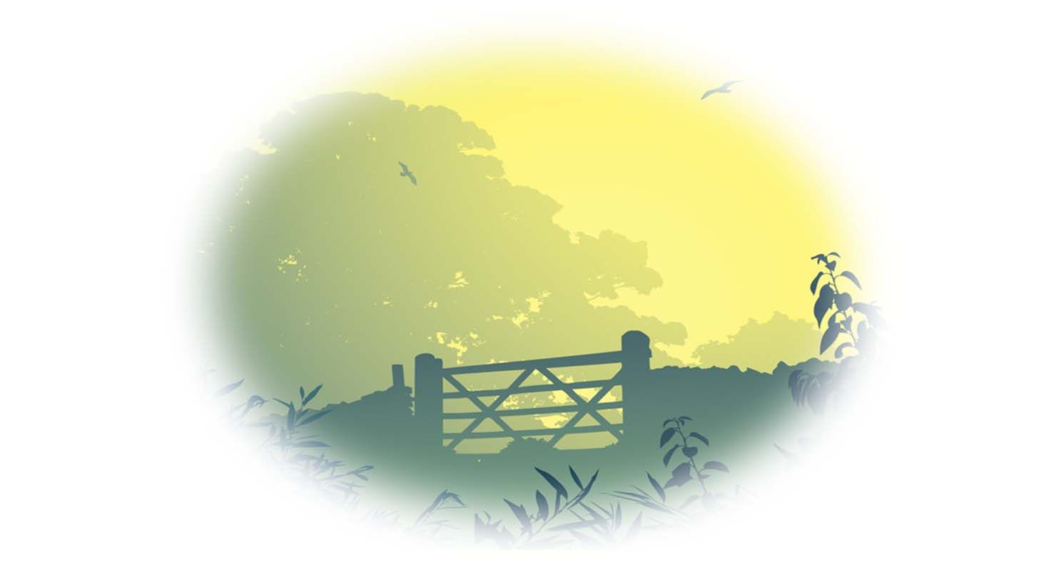 Airbnb, le Bel Ami des ruraux