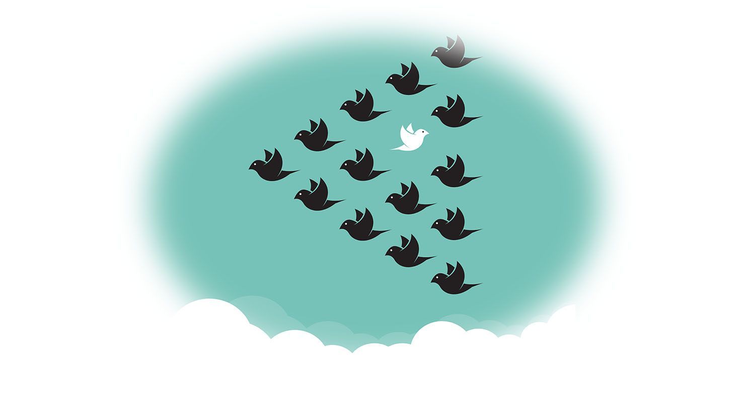 Vol massif d'européens vers la France