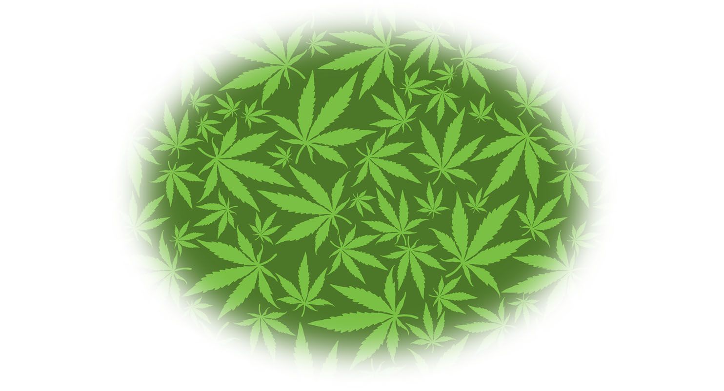 Le "bud and breakfast" à la conquête des voyageurs américains