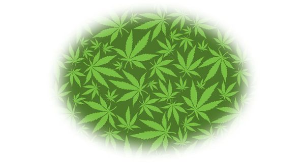 Le "bud and breakfast" à la conquête des voyageurs américains