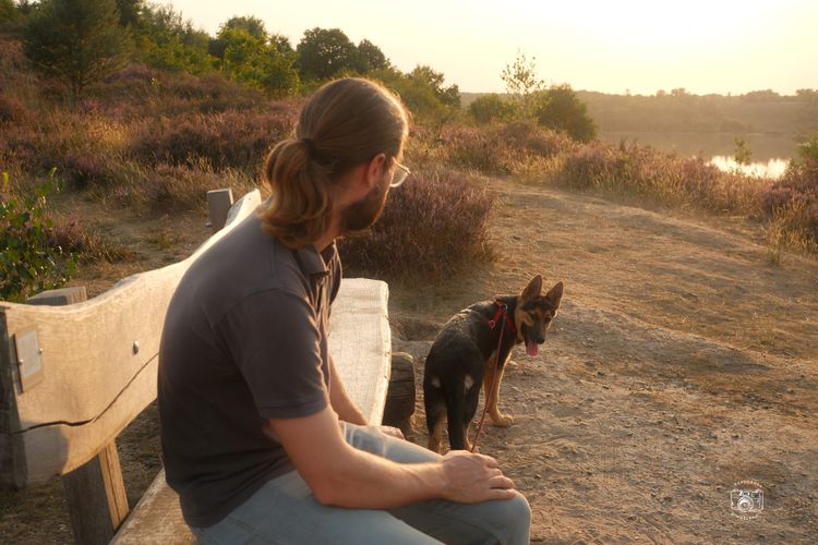 Zomeravonden in augustus