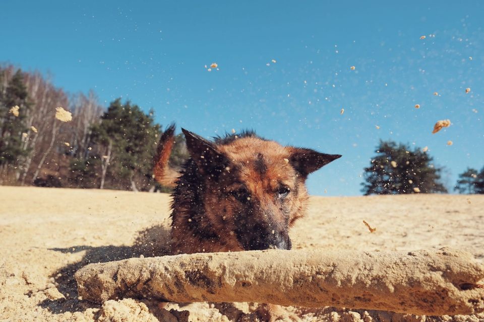 Foto © Esperanza Wingelaar