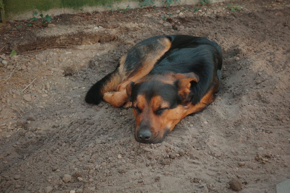 Foto © Esperanza Wingelaar