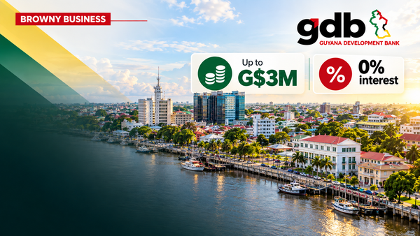 Guyana Development Bank homepage graphic highlighting zero-interest loans of up to G$3 million, with Georgetown waterfront in the background.