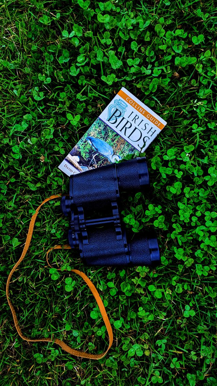 Image Description available in body.