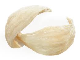 Pierre & Bertrand Couly - Vine bud