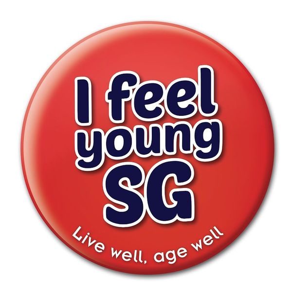我感觉年轻 2023 ( I Feel Young SG )