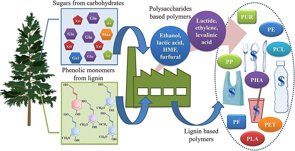 Examples of biocomposites used in packaging. Source: Brodlin, Vallejos, Tanesa Opedal, et al, 2017.