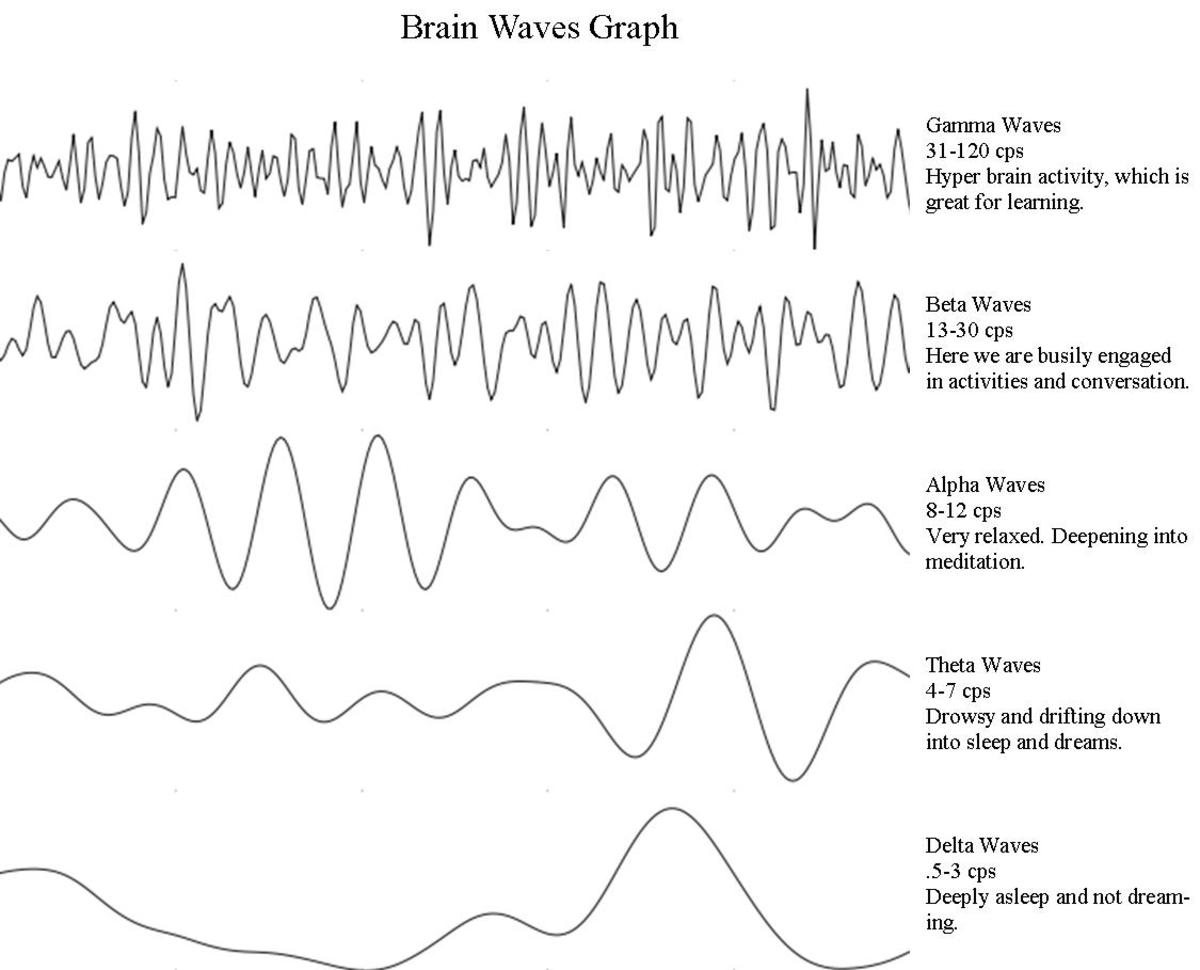 Types of human brain waves. Source: rapideyeportland.com