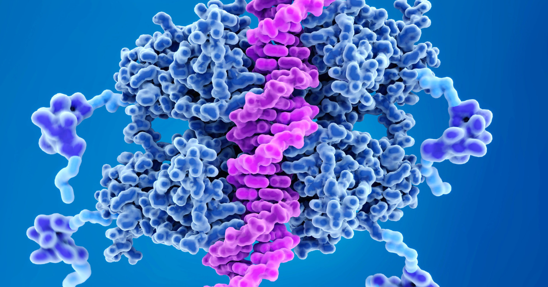 When the Guardian of the Genome Becomes an Accomplice