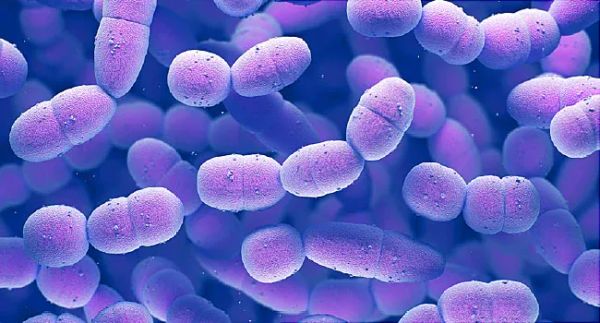 COVID-19 FAQ: What is the threat of secondary bacterial infections to patients?