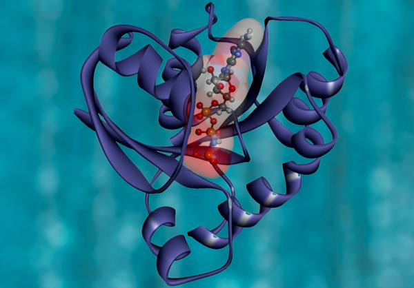 A trial-and-error process for folding proteins correctly