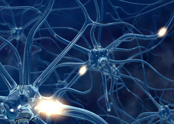 A good way to dye: how to protect vital nerves during surgery