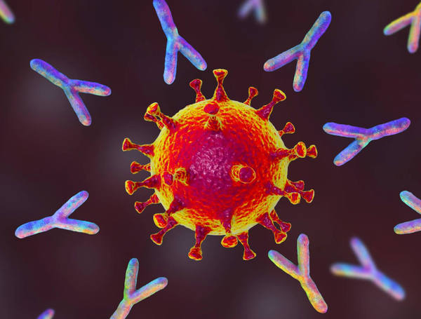 Nanobodies: A new therapeutic approach against Covid-19