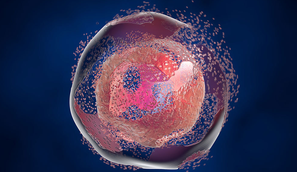 Cancer 101: How it hacks our cells' self-destruct programming