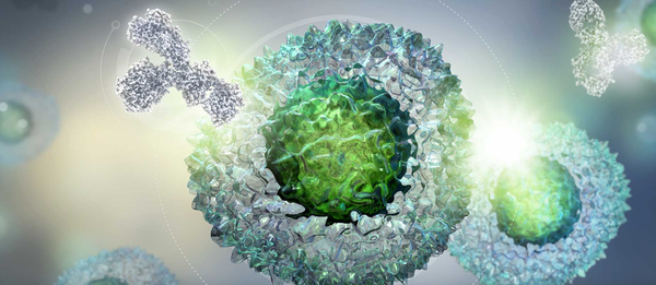 Immunity vs Cancer: What are Immune Checkpoint Inhibitors?