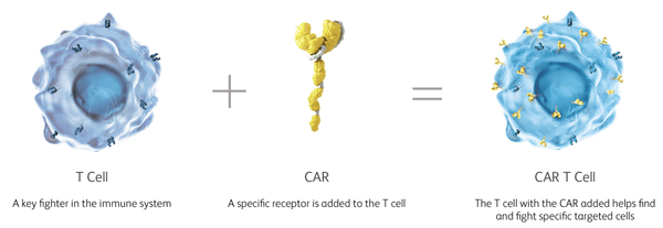 Immunity vs. Cancer: Beating blood cancers with CAR-T cells