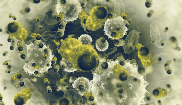 Cancer gone viral: The hefty burden of viral cancer